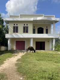 Life on the Outskirts of Tambolaka: Everyday Scenes Worth Seeing