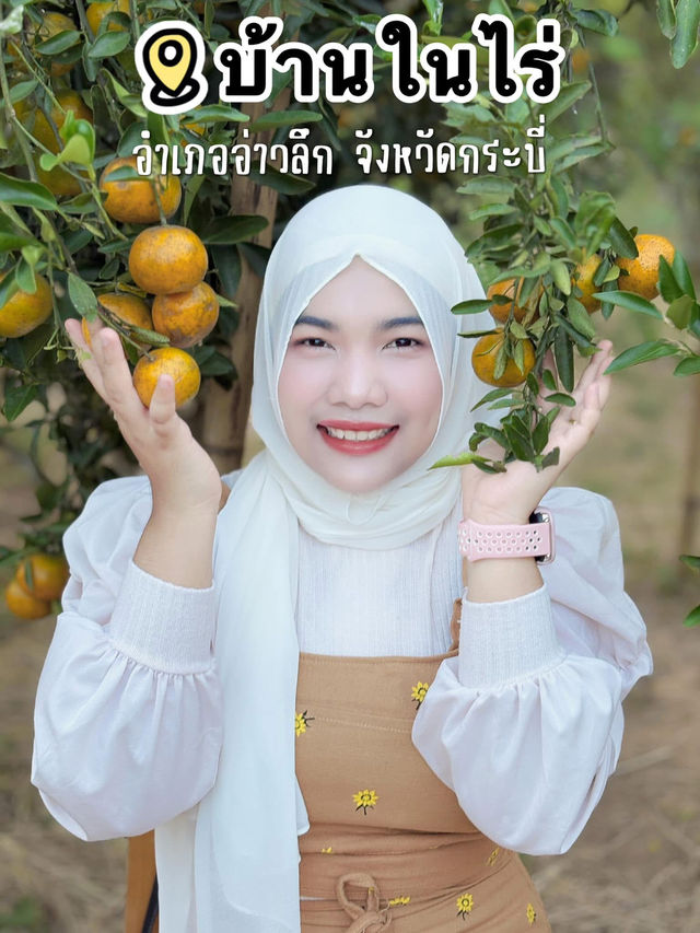 สวนส้มบ้านในไร่ อ.อ่าวลึก จ.กระบี่ 🍊🪴