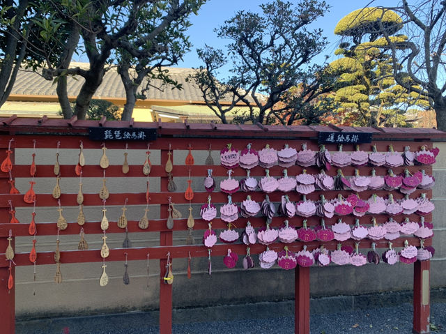 上野一日散策！　寛永寺