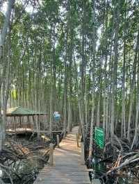 รวม 8 จุดเที่ยวในระยอง 🌳🚙