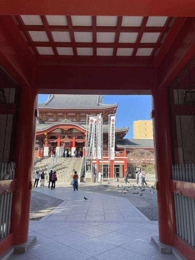 【名古屋×大須観音】 日本三大観音のひとつ 朱色の本堂は撮影スポット
