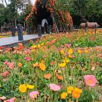 西麗生態公園 | 自然的懷抱