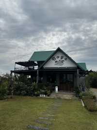 Bogs cafe ..