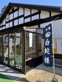 【熊本旅行】金運祈願🙏白蛇様参拝ができる神社⛩