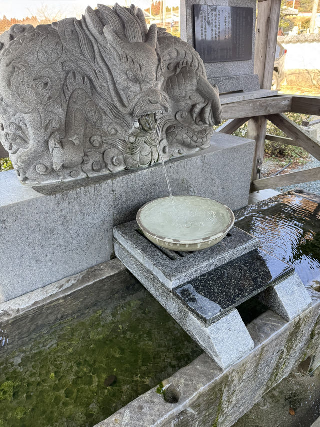 【熊本旅行】金運祈願🙏白蛇様参拝ができる神社⛩