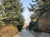「威海山區肺」 環翠樓公園，仲有平價6頭鮑食！