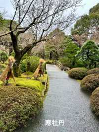 由志園