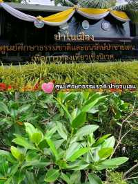 พิกัดเที่ยวบางแสน แค่ปากซอย