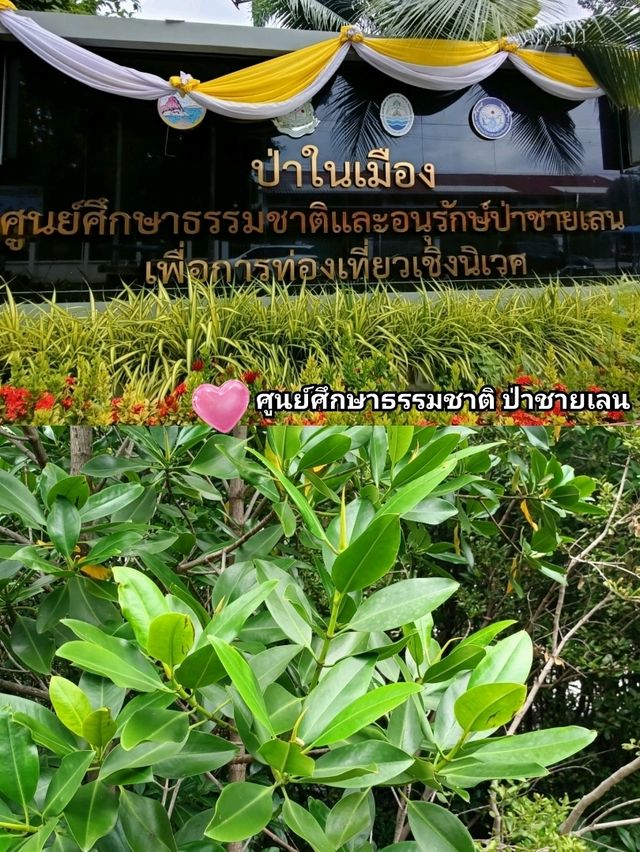 พิกัดเที่ยวบางแสน แค่ปากซอย