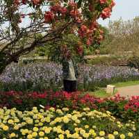 อุทยานหลวงราชพฤกษ์