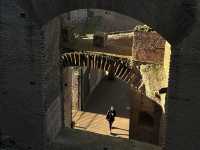 Walking Through History: Exploring the Roman Forum in Rome