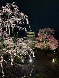 4 Days in Kyoto