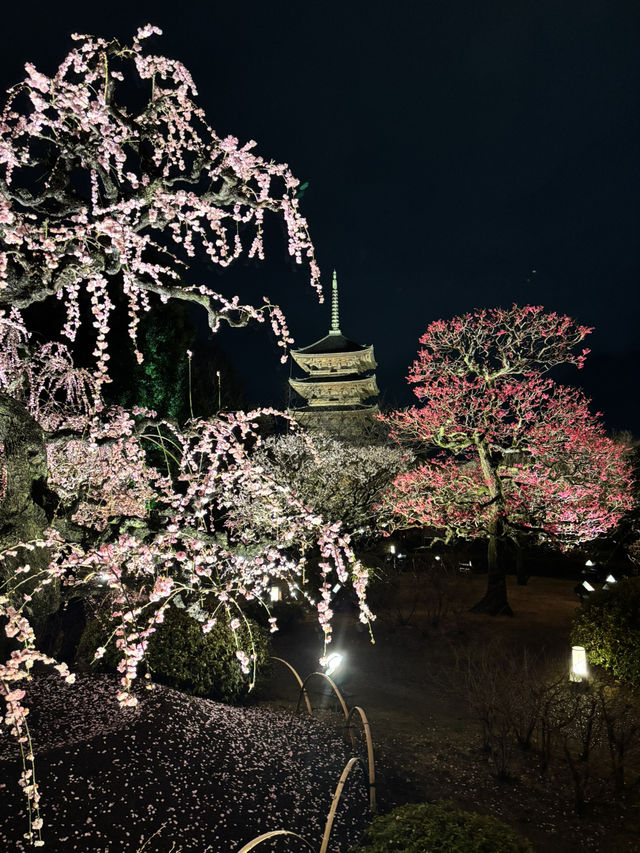4 Days in Kyoto