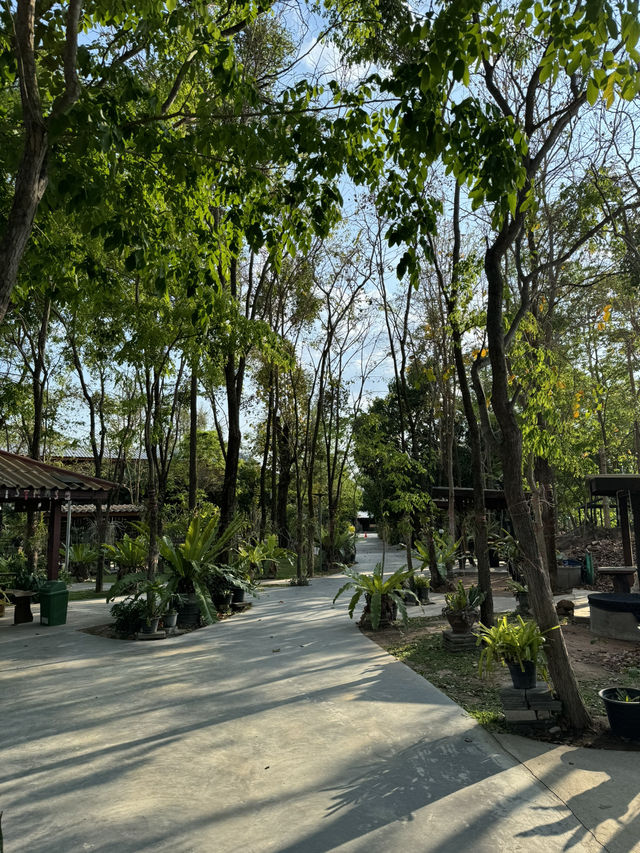 Volunteering & Camping at Mom Tik Camp Hotel, Maha Sarakham