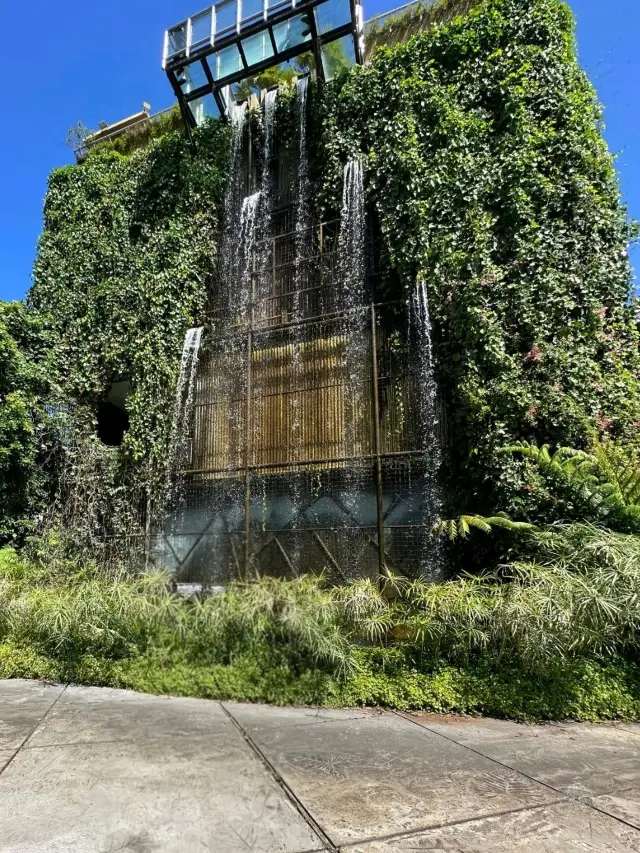 "Spring has painted Farmhouse Lembang in its most beautiful colors! 🎨🌺"