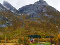 A Scenic Journey from Tromsø to Senja: A Ferry and Road Adventure