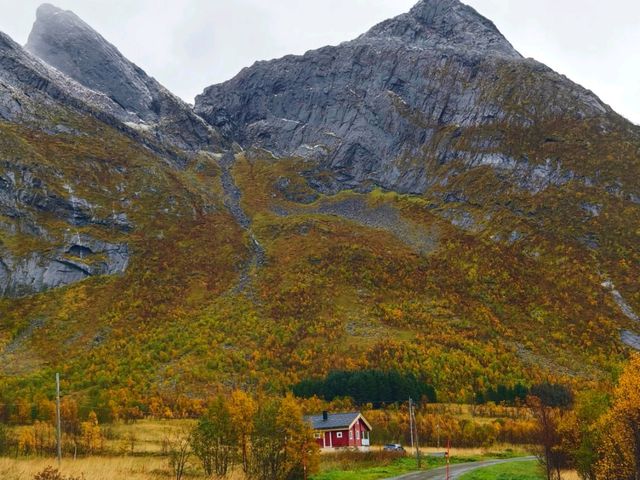 A Scenic Journey from Tromsø to Senja: A Ferry and Road Adventure
