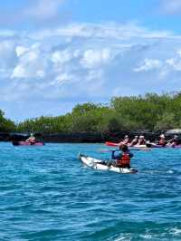 🌿 Discover Española Island – A Wildlife Wonderland! 🦜🐢