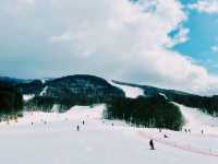 【極上パウダー】コスパ最強！カムイスキーリンクスで大満足❄️
