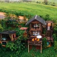 กระท่อมลุงเดวิด - Uncle David’s Cabin