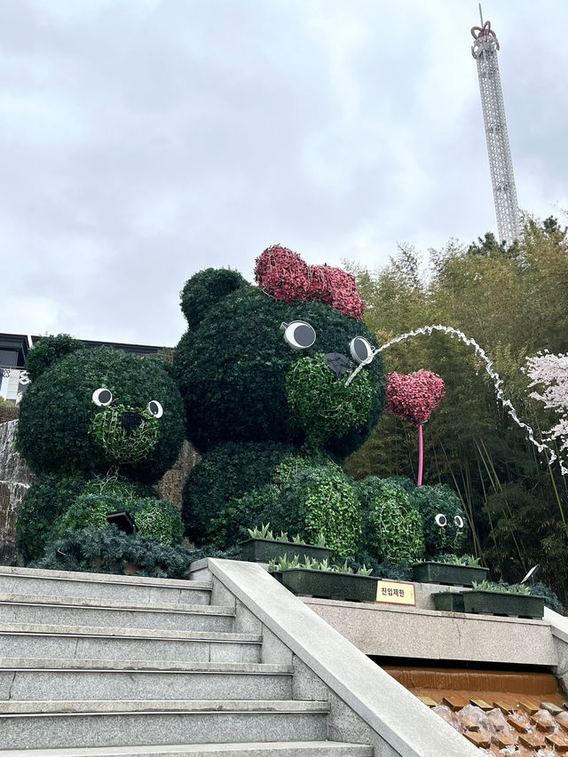 遊園地でお花見🌸⁉️ 大邱 Eワールドの魅力✨💗 遊園地でお花見🌸⁉️ 大邱 Eワールドの魅力✨💗