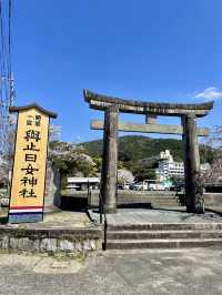 【佐賀観光】川上峡春まつり