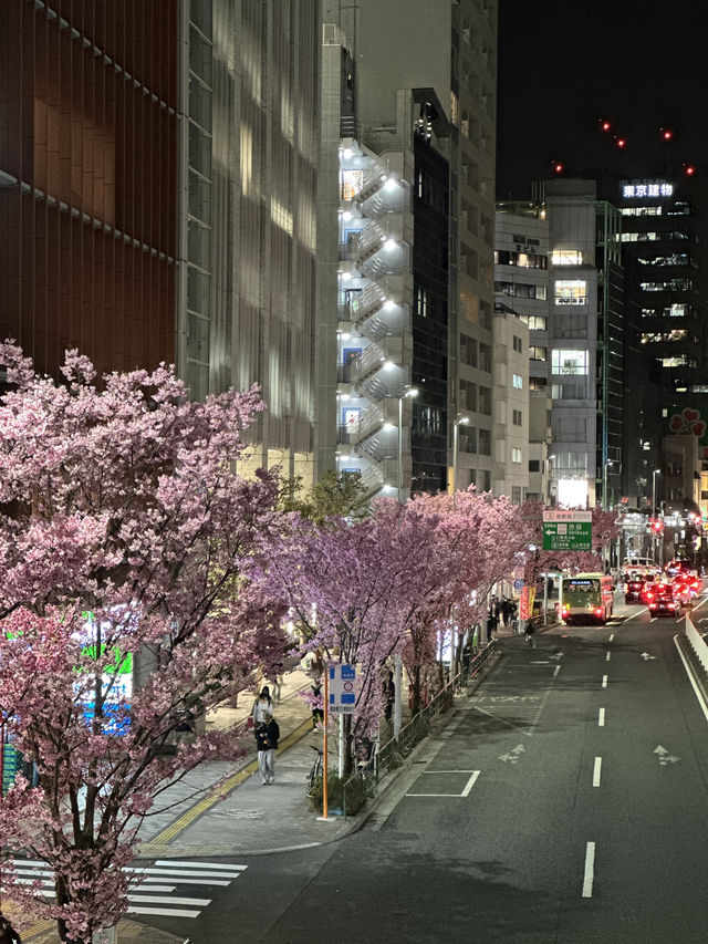 東京賞櫻攻略：中目黑、澀谷、中野、芝公園，一次蒐集所有粉嫩美景！🌸