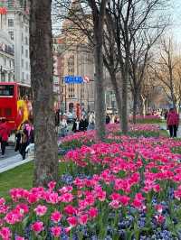 The Bund, เซี่ยงไฮ้ จีน