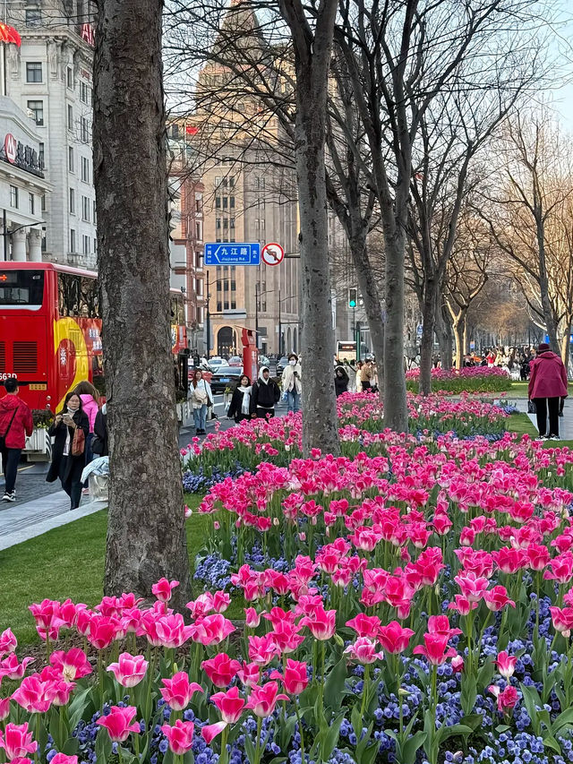 The Bund, เซี่ยงไฮ้ จีน