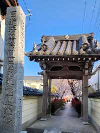 【山口グルメ】本圀寺・クリフレ山口