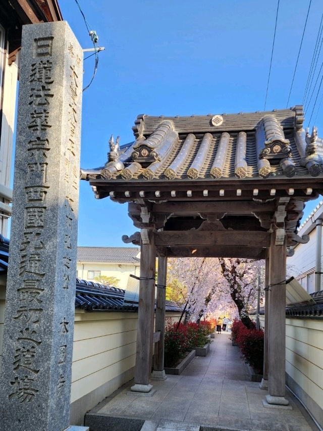 【山口グルメ】本圀寺・クリフレ山口