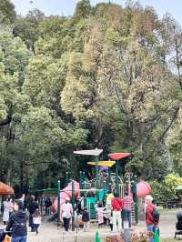 【京都】綺麗なお花に癒される子どもも嬉しいピクニックスポット