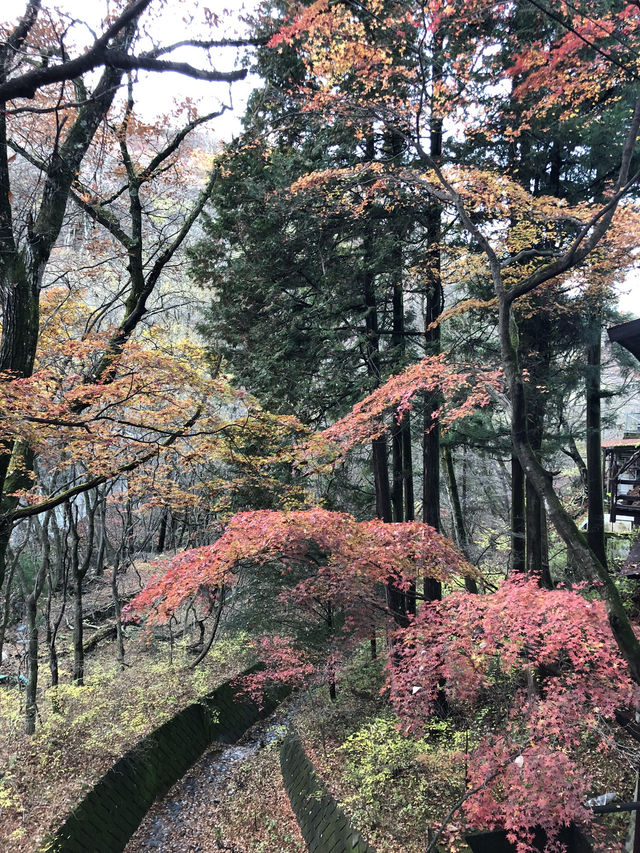 伊香保溫泉散策～感受石段街的老派浪漫