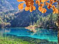Discover Magical Jiuzhaigou:Four-Season Wonderland