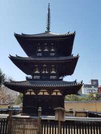 ✅【興福寺 攻略ガイド】  阿修羅に会いに行こう！国宝だらけを制覇する旅