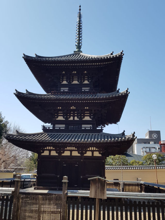✅【興福寺 攻略ガイド】  阿修羅に会いに行こう！国宝だらけを制覇する旅