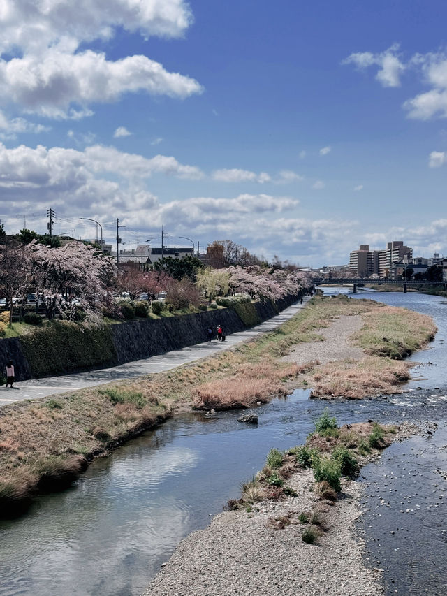 儚くも美しい京都へ
