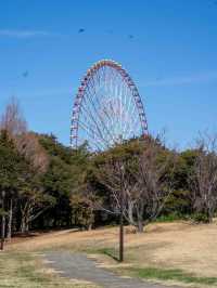 気持ちのいい葛西臨海公園さんぽ🚶‍♂️