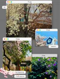 Unveiling the Pink Paradise: Jayu Park Awaits! 🌸➡️🌳🌸