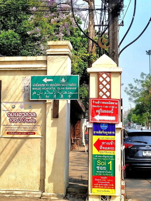 A TOUCH OF CHERRY BLOSSOM SIGHT YOU WON'T FORGET IN CHIANGMAI