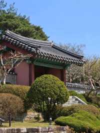 🌷강원도 강릉 여행지 명소 강릉 오죽헌 