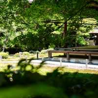 【京都】境内全体が国の遺跡 見どころがいっばい！