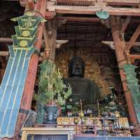 奈良公園（奈良県）