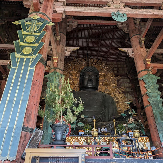 奈良公園（奈良県）