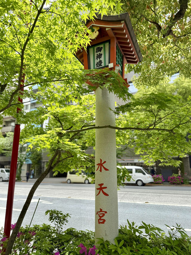 Spring Serenity at Suitengu Shrine