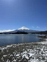 東京近郊推薦！富士山河口湖