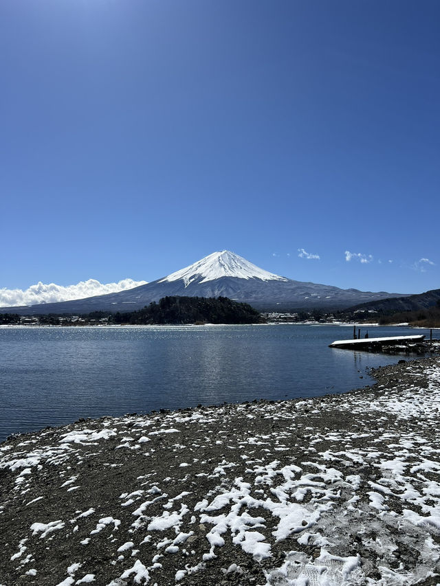 東京近郊推薦！富士山河口湖