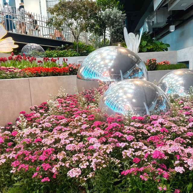 🌺🌸 #แลนด์มาร์คใหม่ระยอง  WondrousBloom 🌷