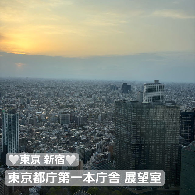 【デートにオススメ】東京 新宿 東京都庁第一本庁舎北展望室 東京の真ん中で無料で絶景が見られるスポット