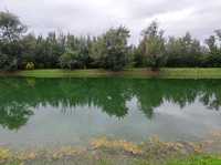 #臺東森林公園-臺東縣臺東市